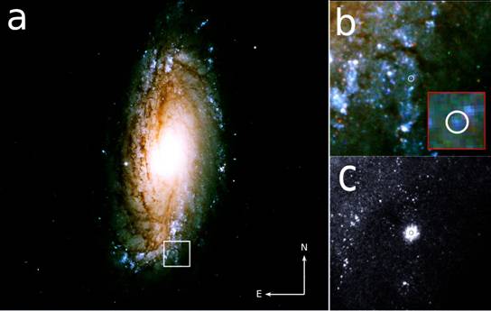 Macintosh HD:Users:Ray:Downloads:13bvn.pdf