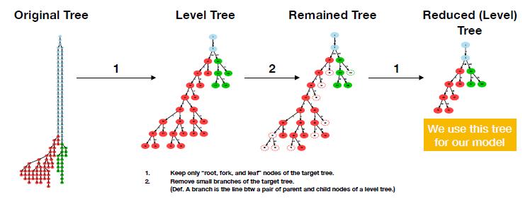 (Caption) How the tree diagram of a neuron can be reduced to an effective model.